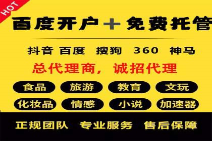 百度竞价广告投放策略：案例分析及效果评估
